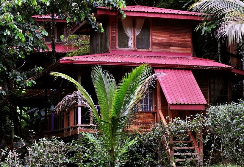 استراحتگاه Samasati Retreat And Rainforest Sanctuary