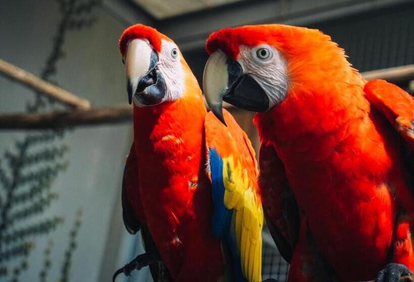 Vedana Lagoon Resort & Spa