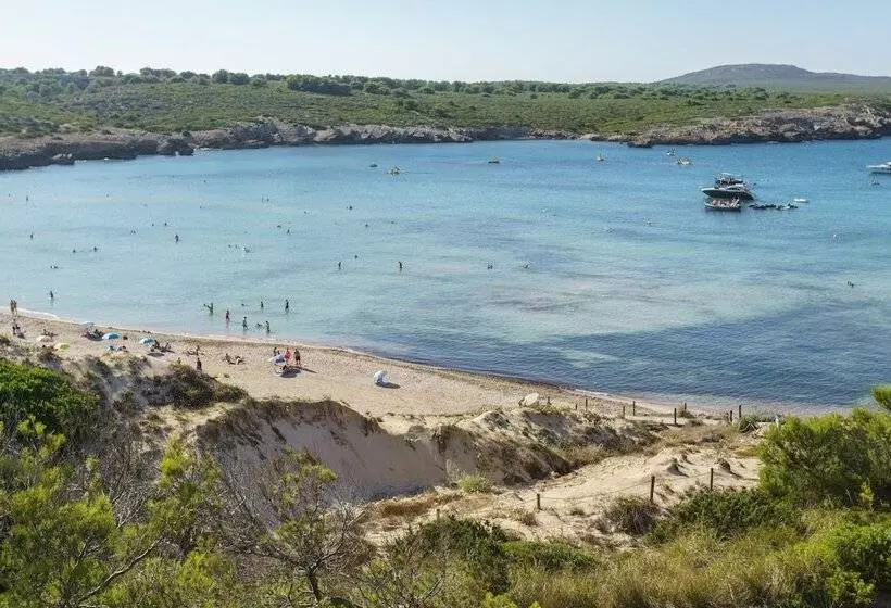 Apartamentos Posidonia