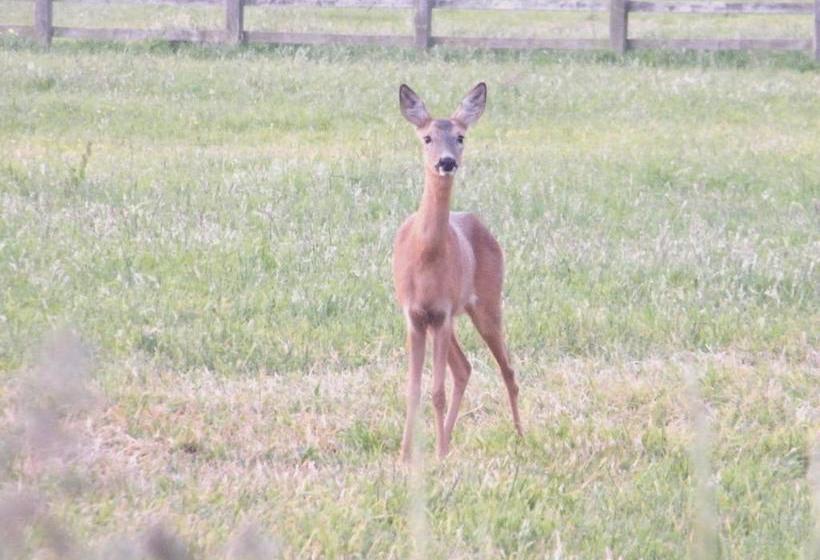 ベッドアンドブレックファースト Eastcote Luxury Guest House