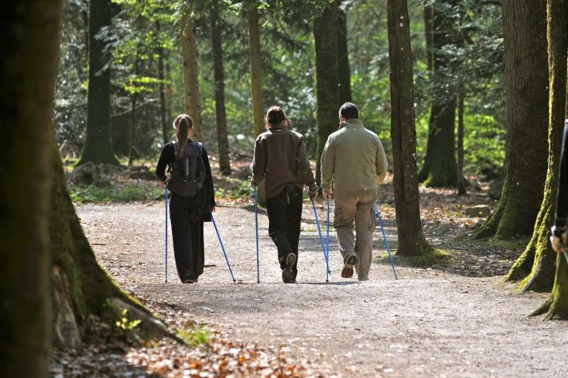 Résidence B O Cottage B O Resort Thermal & Spa