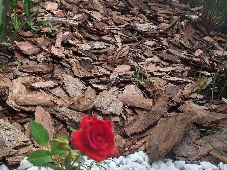 בית מלון כפרי Dos Viajantes