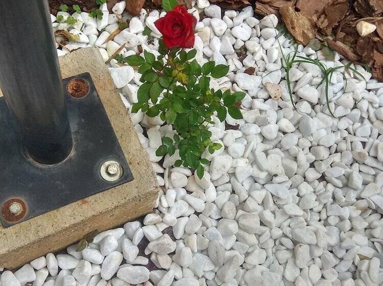 בית מלון כפרי Dos Viajantes