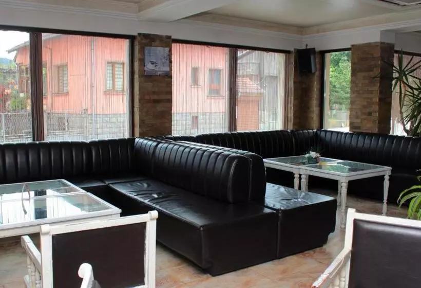 хотел хилез Hotel Hilez