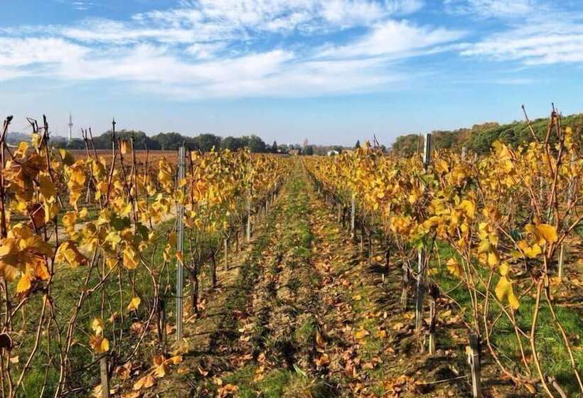 住宿加早餐 Chateau Sénailhac