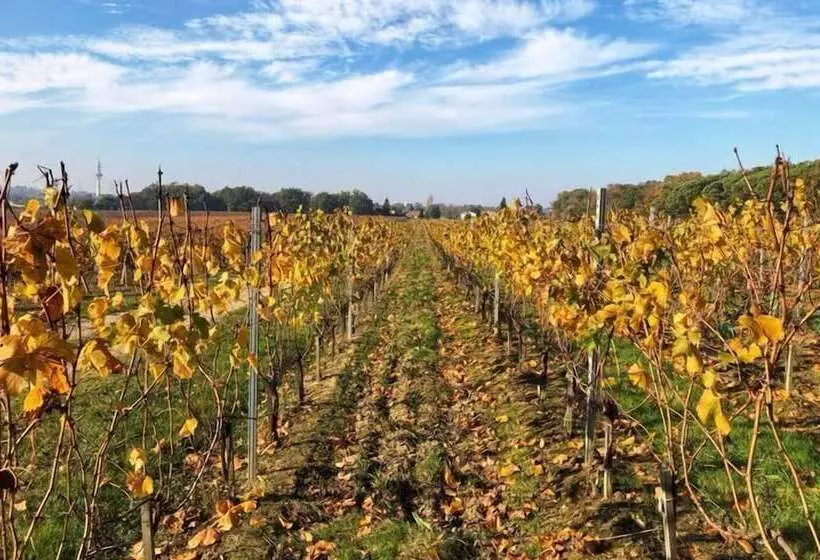 Aamiaismajoitus (B&B) Chateau Sénailhac