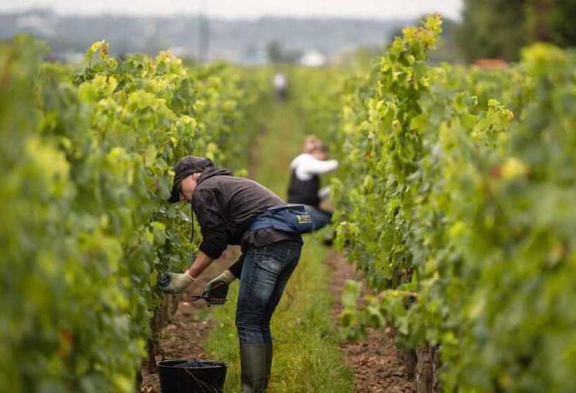 住宿加早餐 Chateau Sénailhac