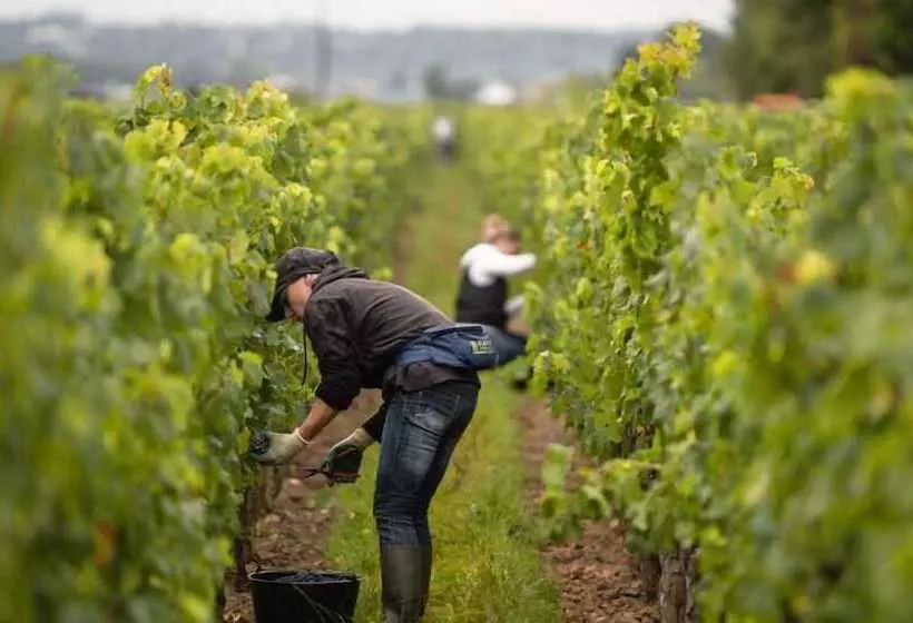 Aamiaismajoitus (B&B) Chateau Sénailhac