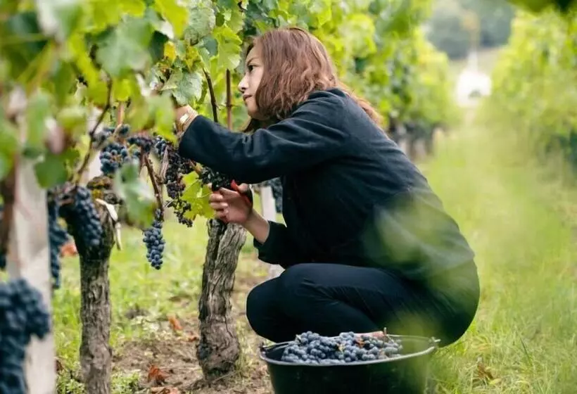 Aamiaismajoitus (B&B) Chateau Sénailhac