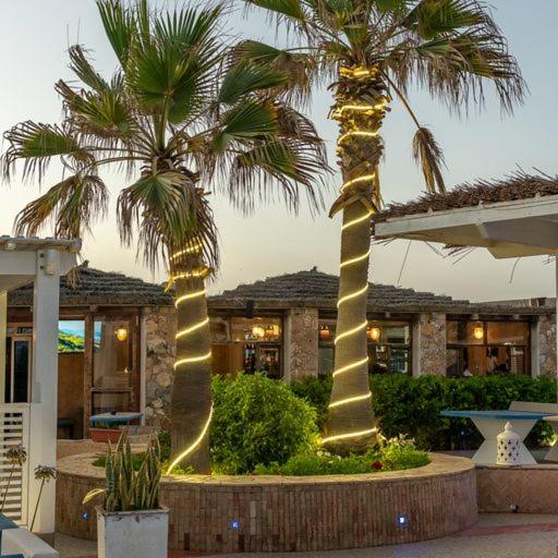 ベッドアンドブレックファースト Mimid Dunes Beach