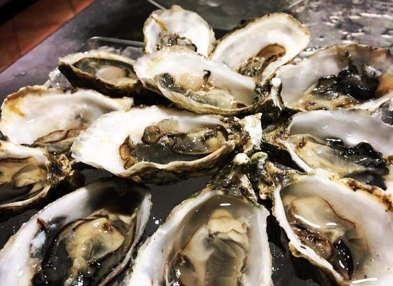 ベッドアンドブレックファースト Mimid Dunes Beach