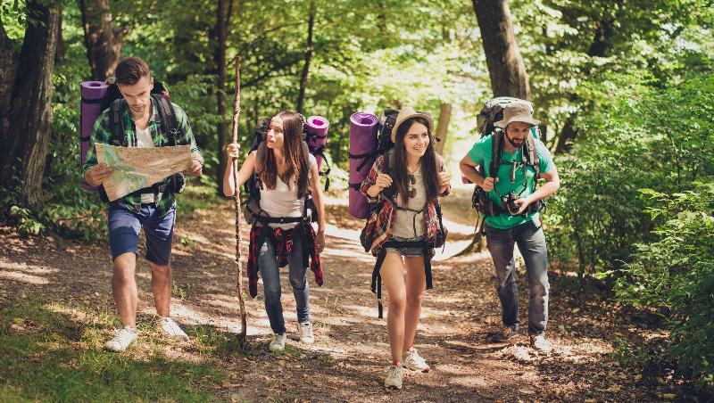 فندق Express Inn Newport News