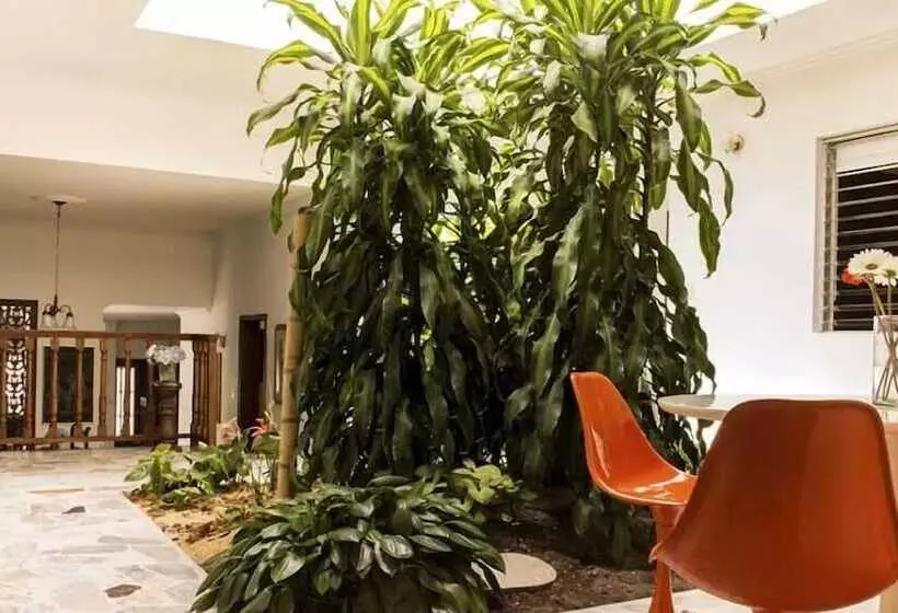 هاستل Casa Lassio Hostal