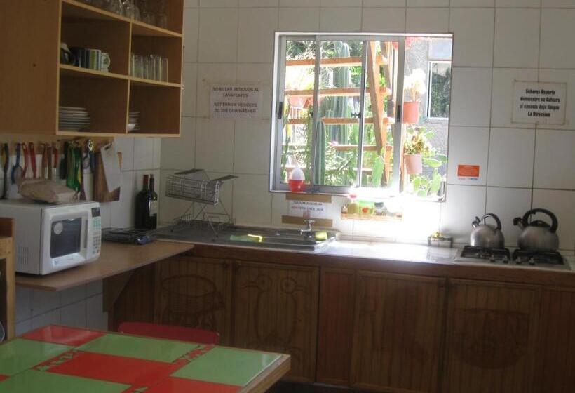 هاستل Hostal Michel