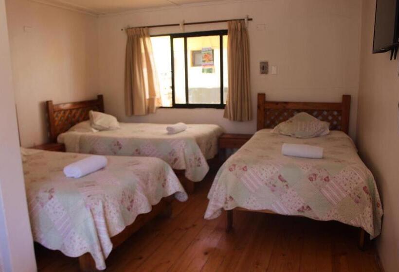 هاستل Hostal Michel