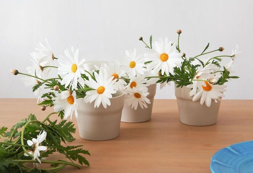 Aamiaismajoitus (B&B) Dimore Santagaeta