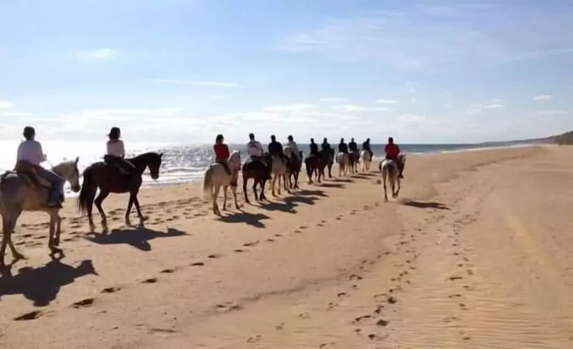 Hospedarte Arenas De El Rocio
