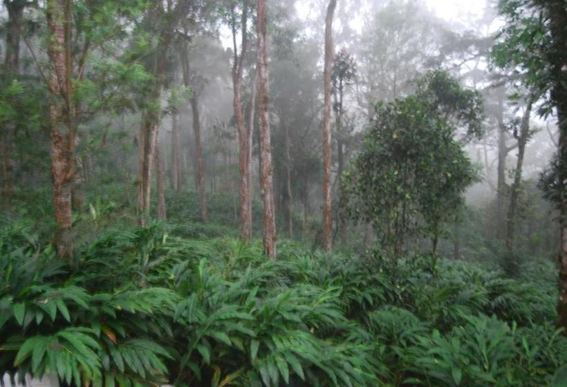 リゾートホテル T Cherry Villa