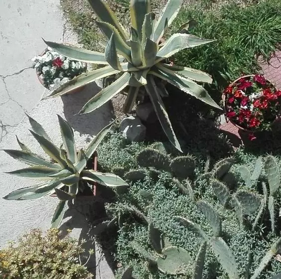 B&b Le Stanze Di Amelie