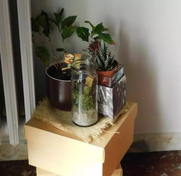 B&b Le Stanze Di Amelie