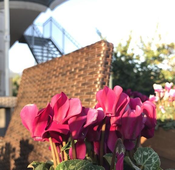 Bed and Breakfast Bba2passi