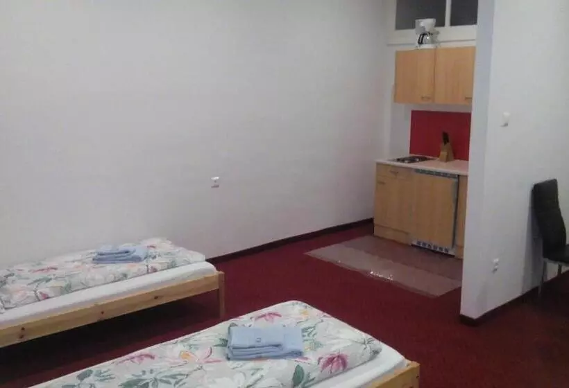 Hotelli Gasthof Zum Nibelungenbauer