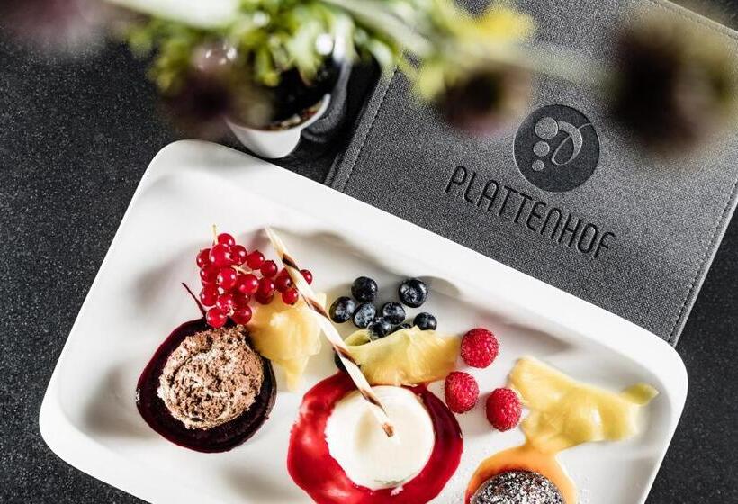 酒店 Plattenhof