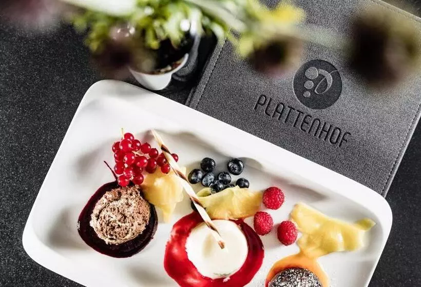 ホテル Plattenhof