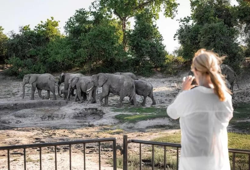 هتل Serondela Lodge