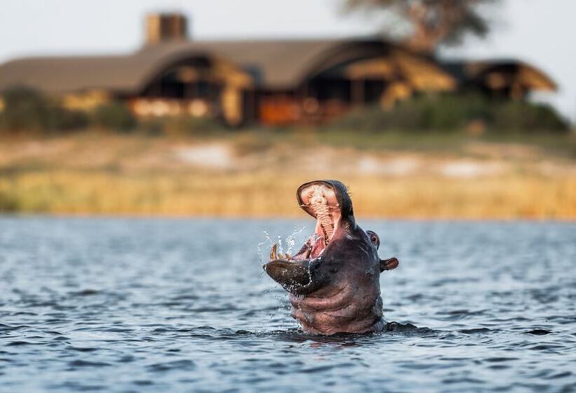 هتل Serondela Lodge