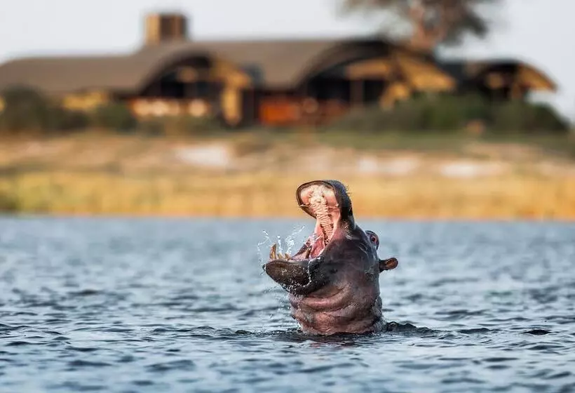 هتل Serondela Lodge