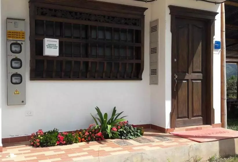 ユースホステル Hostal Balcones De La Piedra