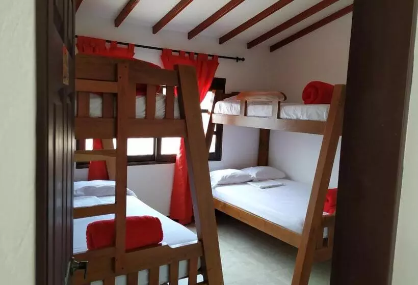ユースホステル Hostal Balcones De La Piedra