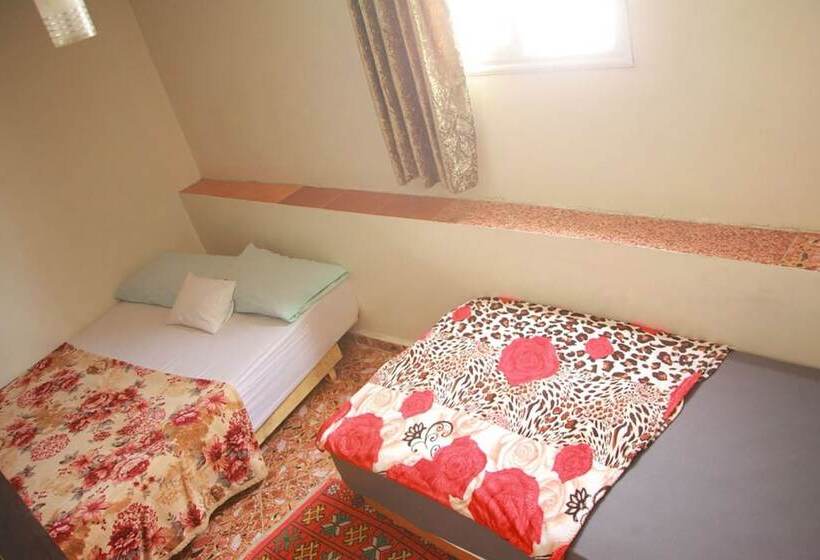 Medina Guesthouse   Hostel