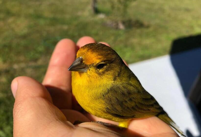 مبيت وإفطار Chacra La Recompensa Glamtainer