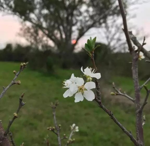 تختخواب و صبحانه Chacra La Recompensa Glamtainer