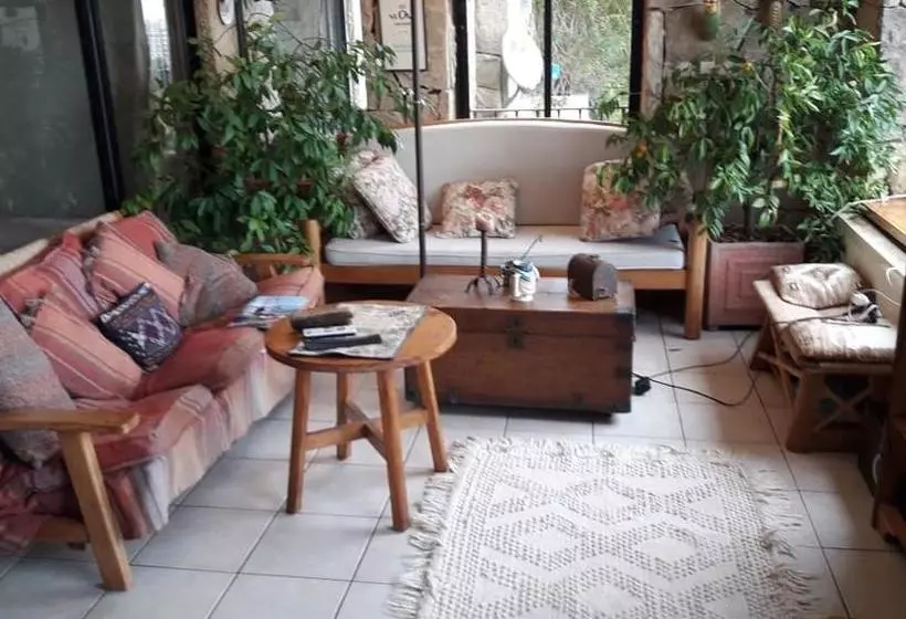 B&b Santo Domingo Chile Bed And Breakfast English Spoken Gran Departamento Compartido Desayuno Inclu