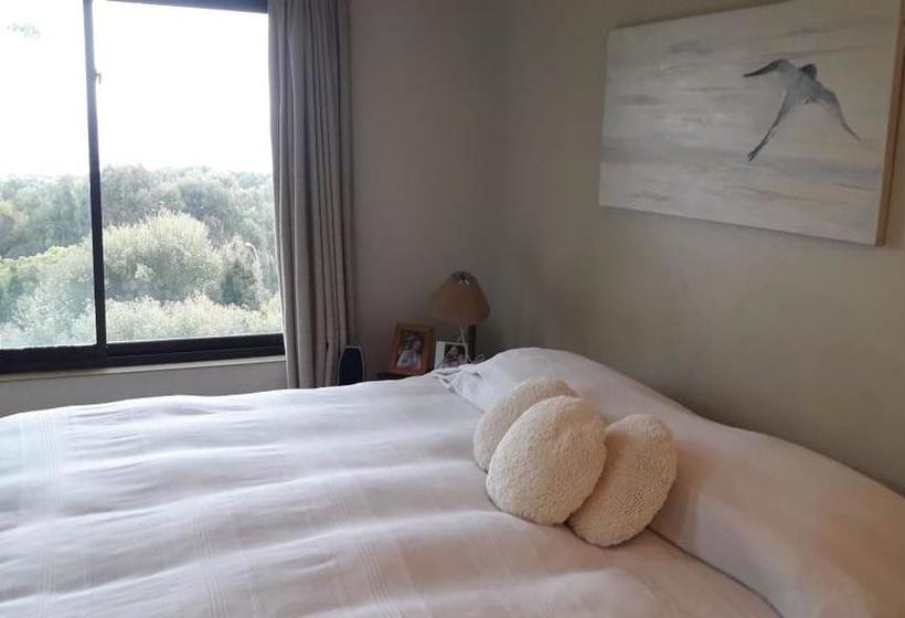 B&b Santo Domingo Chile Bed And Breakfast English Spoken Gran Departamento Compartido Desayuno Inclu