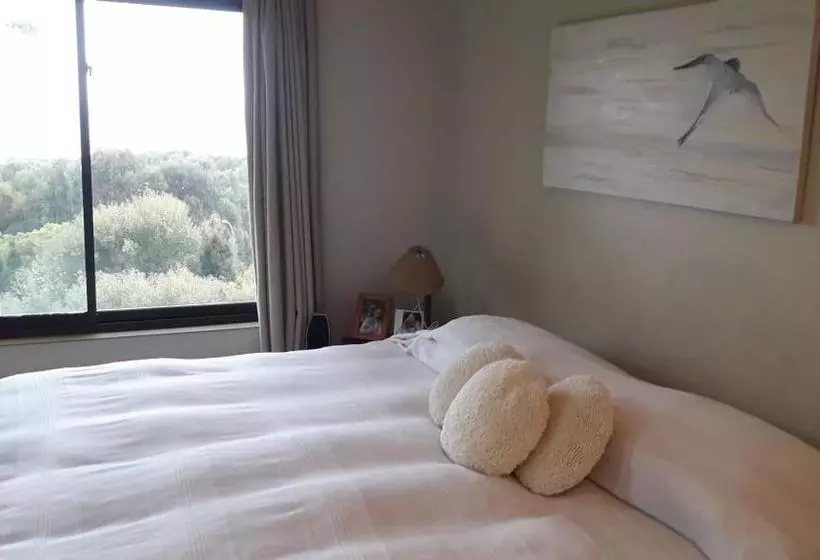 B&b Santo Domingo Chile Bed And Breakfast English Spoken Gran Departamento Compartido Desayuno Inclu