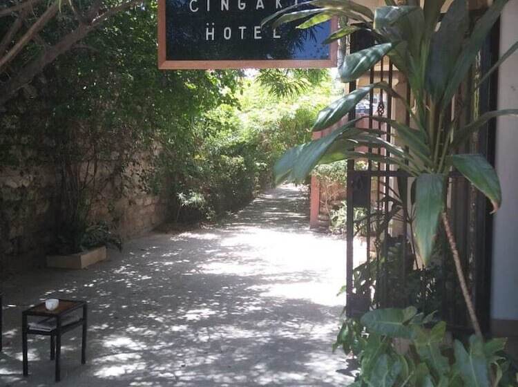 בית מלון כפרי Cingaki