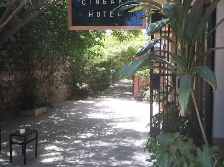 هتل Cingaki