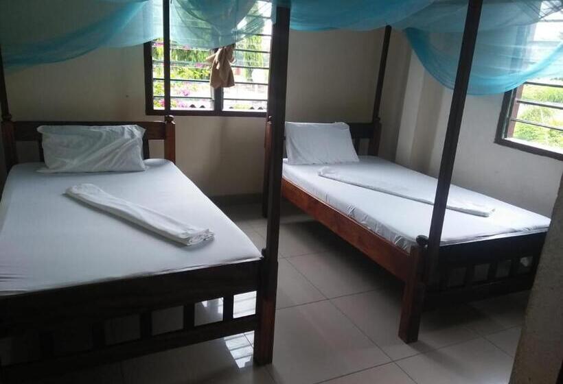 בית מלון כפרי Cingaki