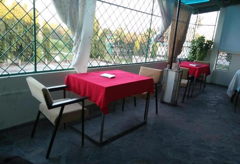 בית מלון כפרי Cingaki