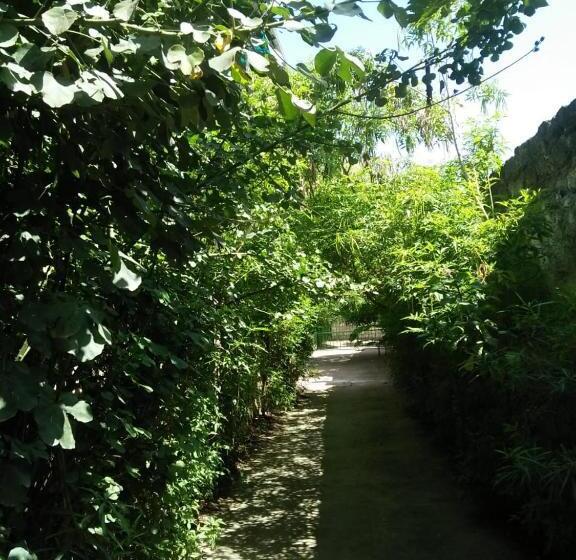 בית מלון כפרי Cingaki