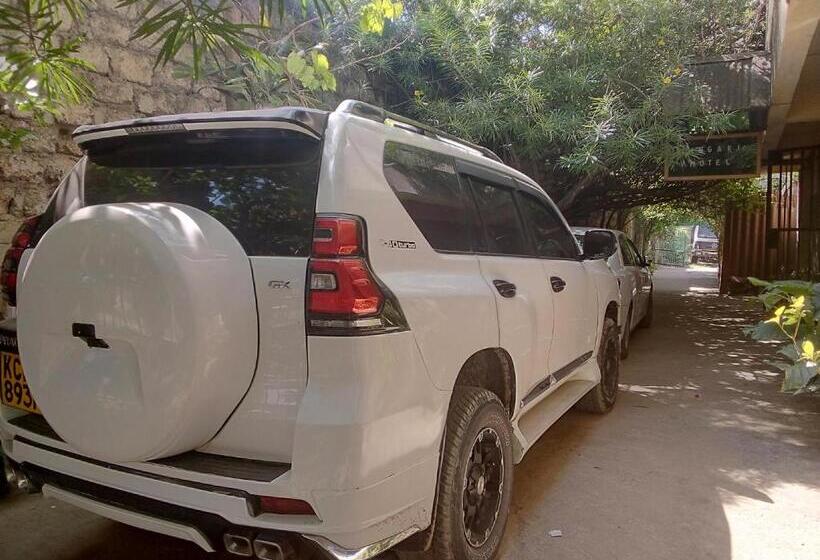 בית מלון כפרי Cingaki