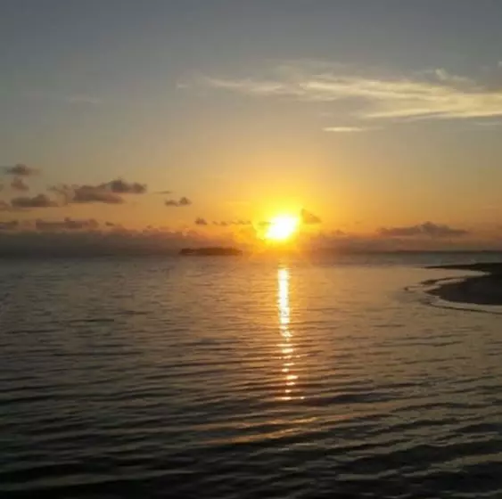 ホテル Cabañas Isla Nubesidub San Blas