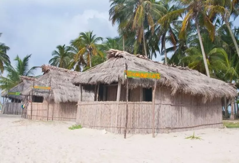 ホテル Cabañas Isla Nubesidub San Blas