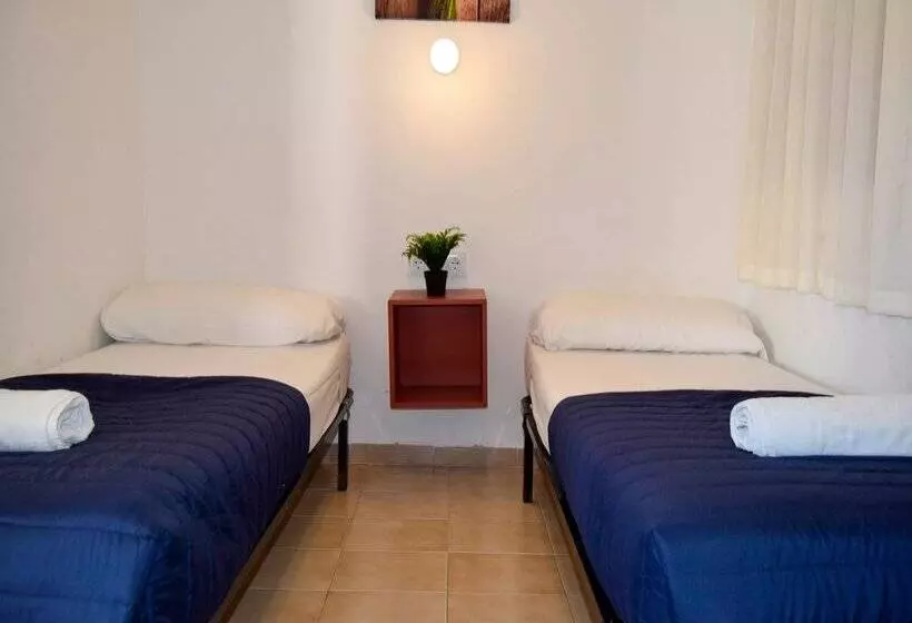 Apartamentos Primera Linea Segur 3000