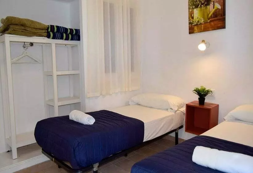 Apartamentos Primera Linea Segur 3000