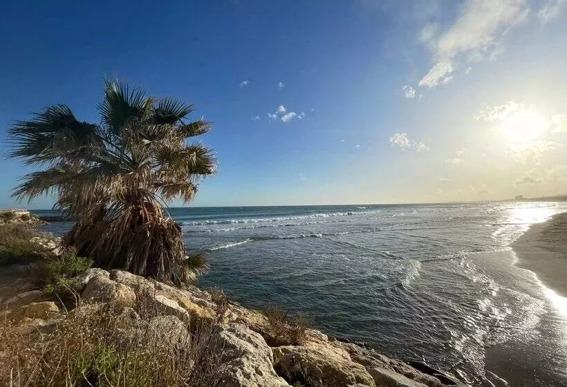 Apartamentos Primera Linea Segur 3000